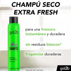 Dry Shampoo Fresh It Up Champú en Seco