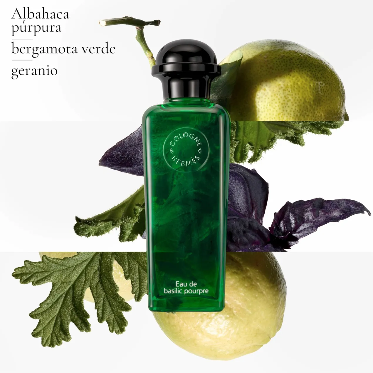 Eau de Basilic Pourpre Eau de Cologne