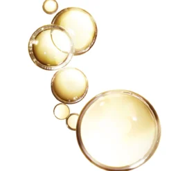 ELVIVE Aceite Extraordinario Cabello Seco