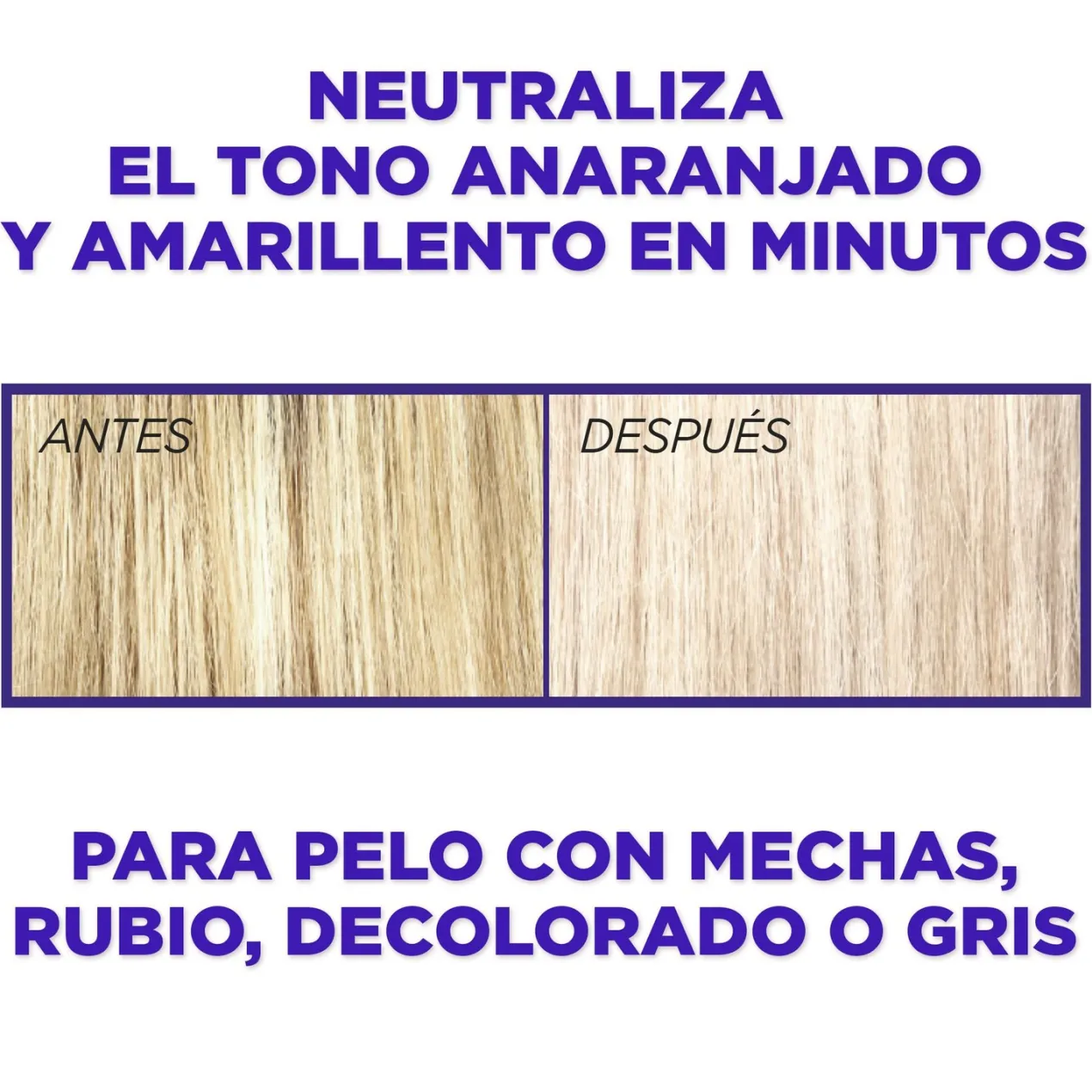 ELVIVE Color Vive Champú Violeta Matizador