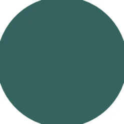 Esmalte Gel Nail Polish