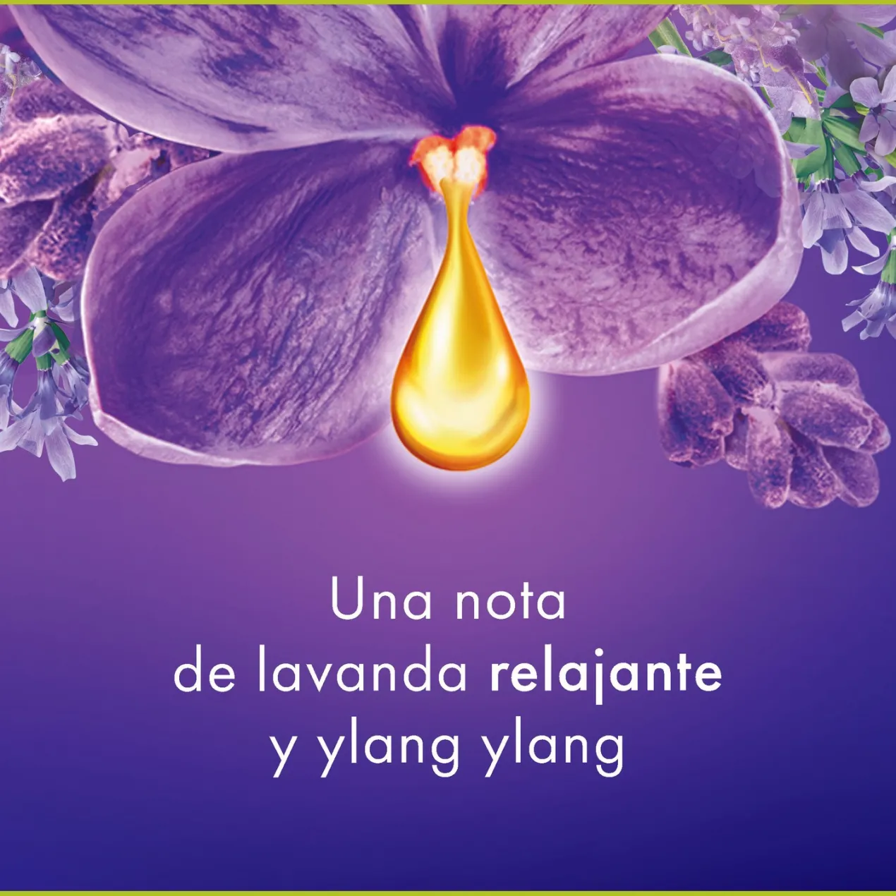 Gel de Ducha o Baño Memories of Nature Relax