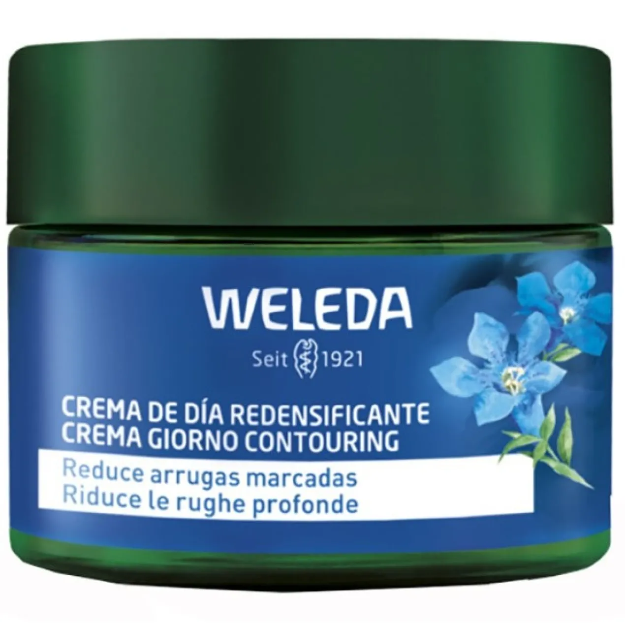Genciana Azul Crema de Día Redensificante