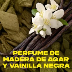 Gold Temptation Desodorante Spray