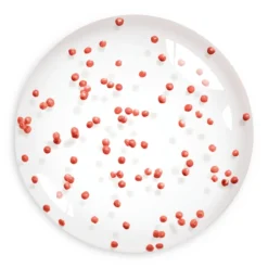 Healthy Mix Sérum Prebase de Maquillaje Vitamina C + Niacinamida