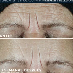 Hydrate & Plump Crema diaria SPF 30