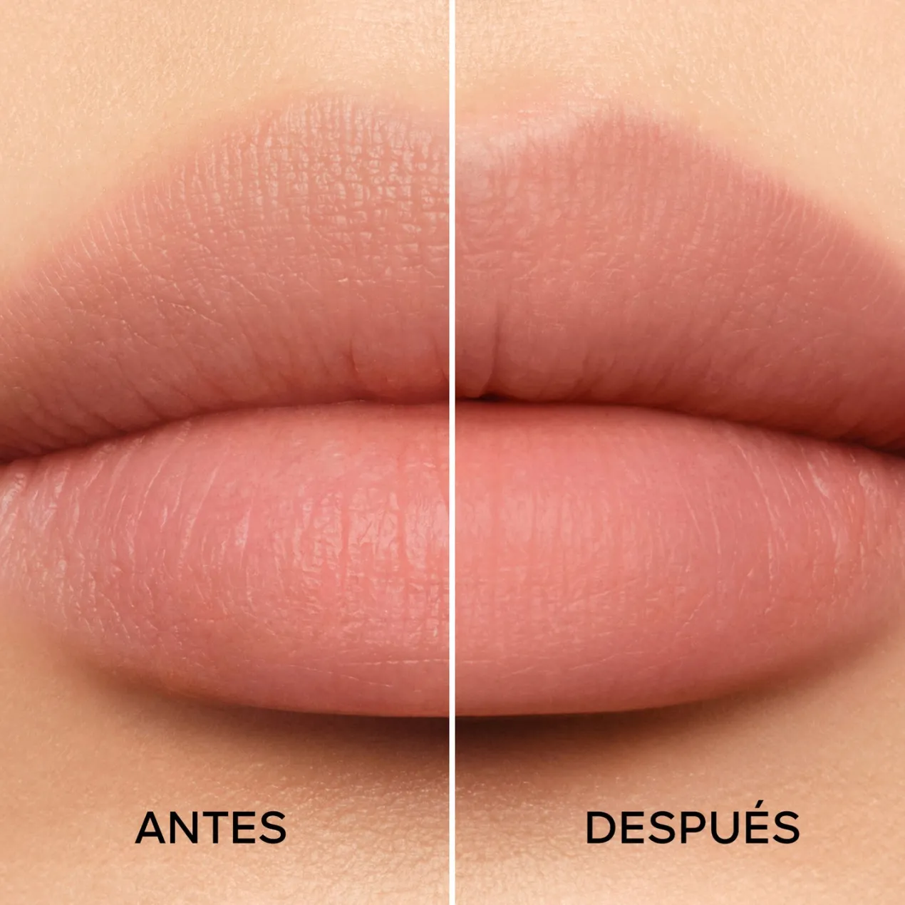 KissKiss Bee Lift Base de Tratamiento Labial