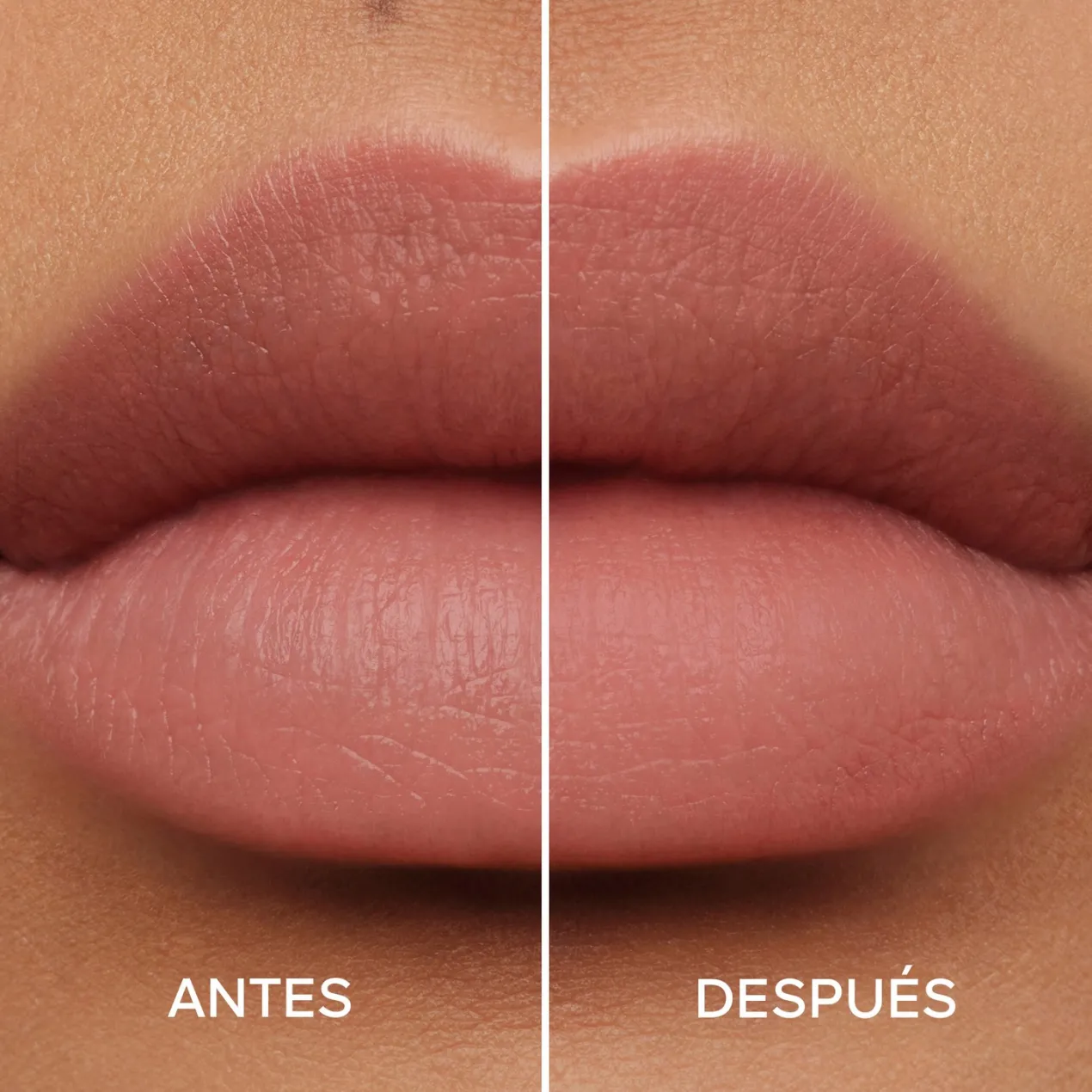 KissKiss Bee Lift Base de Tratamiento Labial