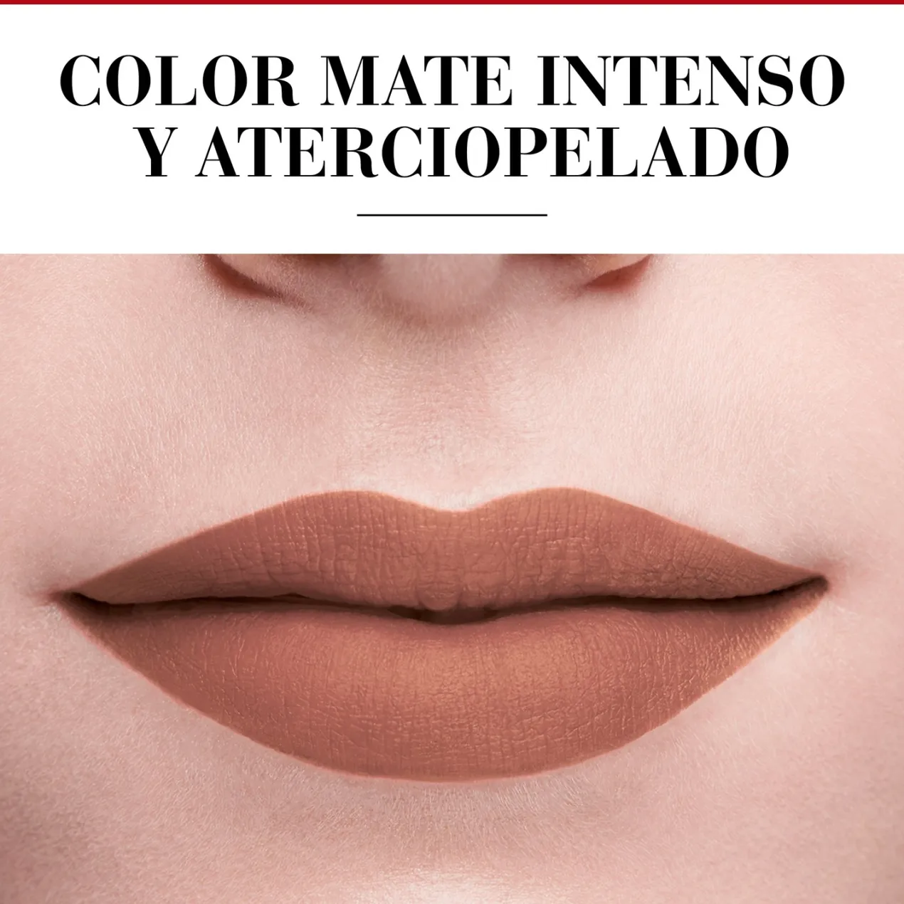 Labial Mate de Larga Duración Rouge Velvet Ink