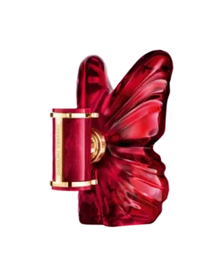 La Bomba Intensa Eau de Parfum