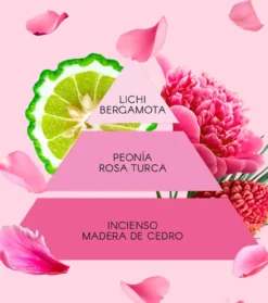 La Vie en Rose Set de regalo
