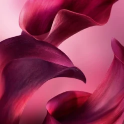 La Vie est Belle L'Elixir Very Cherry Eau de Parfum