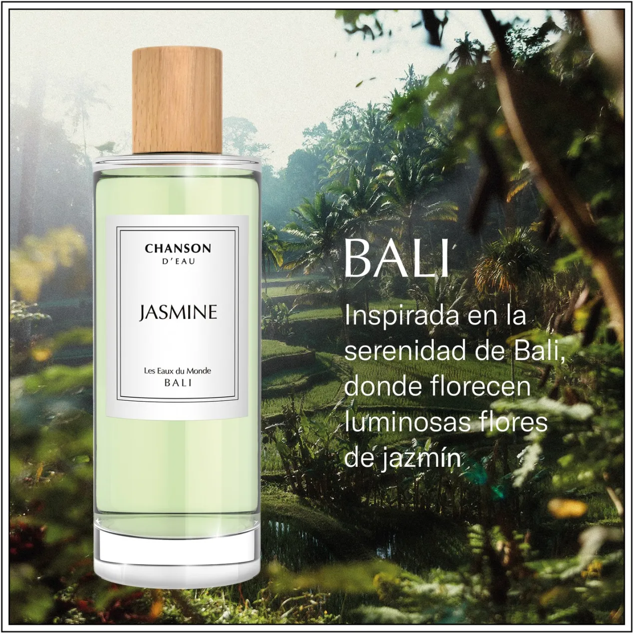 Les Eaux du Monde Jasmine EDT