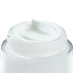Liftactiv Supreme Crema Día Piel Seca