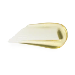 Lipglass Blow Ginger Zinger
