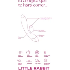 Little Rabbit