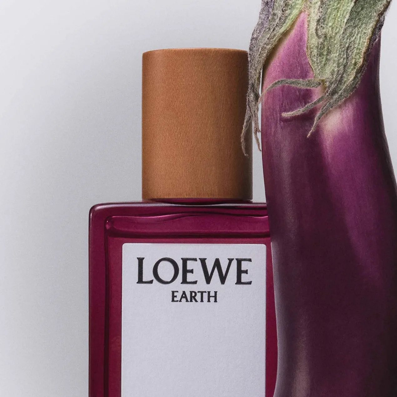 Loewe Earth Eau de Parfum