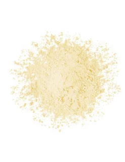 Loose Powder Invisible Polvos Sueltos