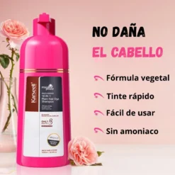 Maca Essence Champú Tinte 10 en 1 Negro