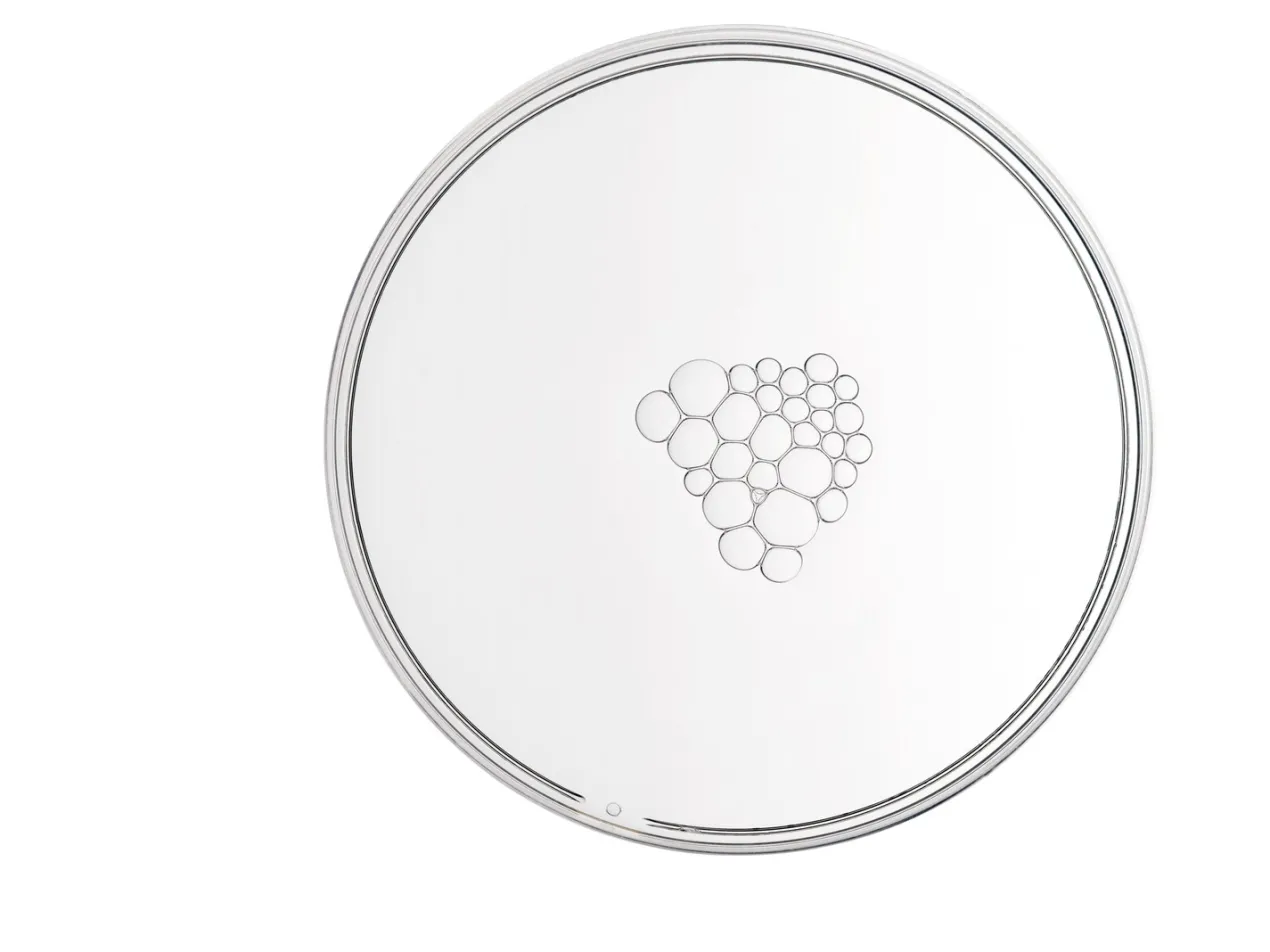 Multi-Active Delivery Essence Hidratante