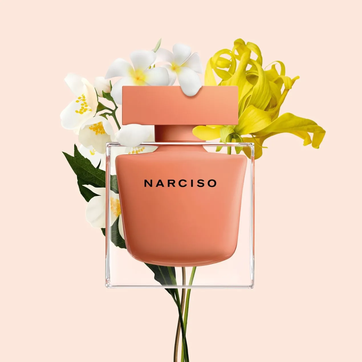 Narciso Ambrée EDP
