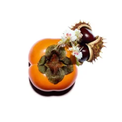 Nutri Lumière Revive Crema de Día