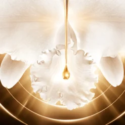 Orchidée Impériale Gold Nobile Crema Antiedad