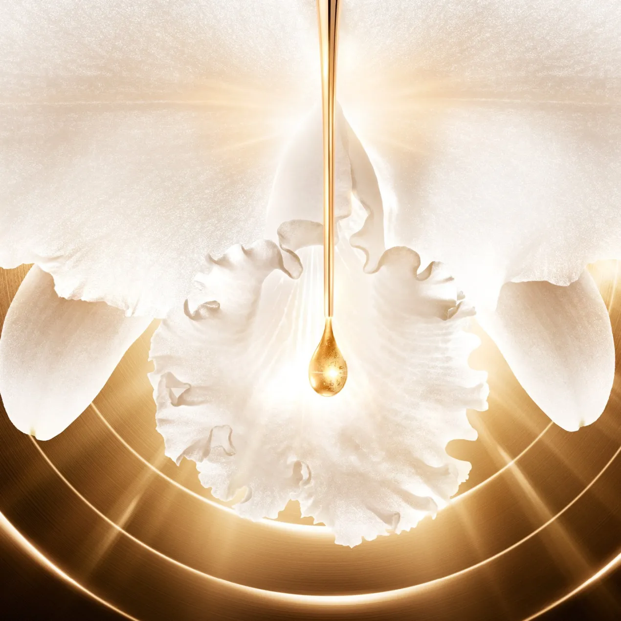 Orchidée Impériale Gold Nobile Crema Antiedad