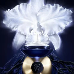 Orchidée Impériale La Crema Ligera