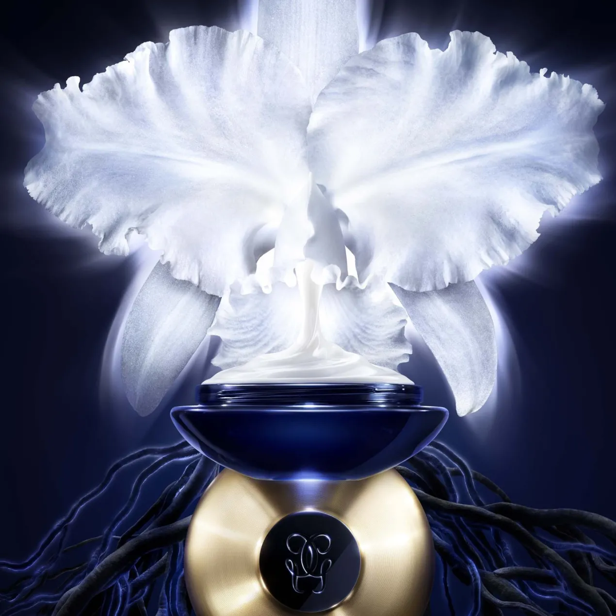 Orchidée Impériale La Crema Ligera