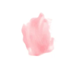Peptide Lip Gloss Brillo de Labios