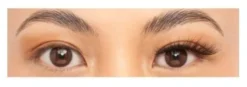 Pestañas postizas Volume 098 Fox Eye Look