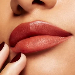 Powder Kiss Velvet Blur Barra de Labios Matte