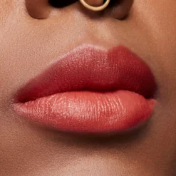 Powder Kiss Velvet Blur Barra de Labios Matte