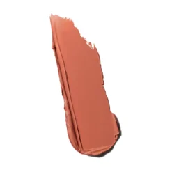 Powder Kiss Velvet Blur Barra de Labios Matte