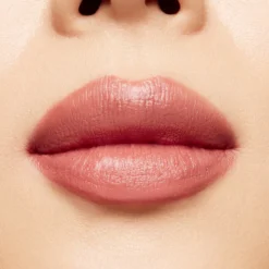 Powder Kiss Velvet Blur Barra de Labios Matte