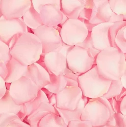 Rose Sugar Scrub Exfoliante Facial