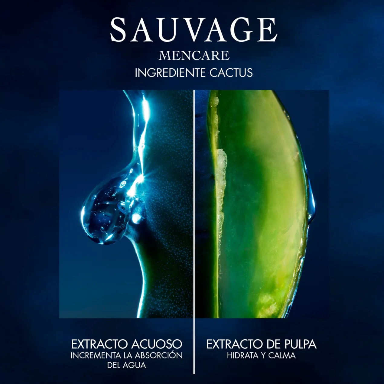 Sauvage Loción Facial Tonificante