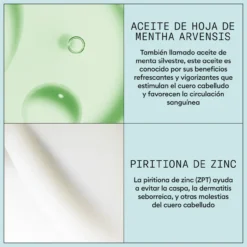 Scalp Recovery Purifying Shampoo Champú Anticaspa