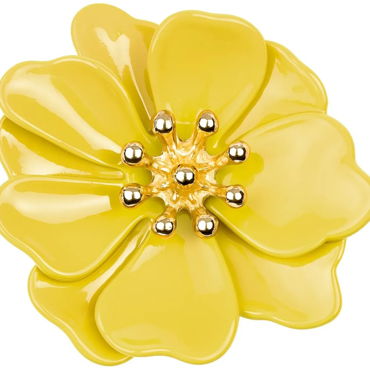 Set Myclaw Hothouse Florals
