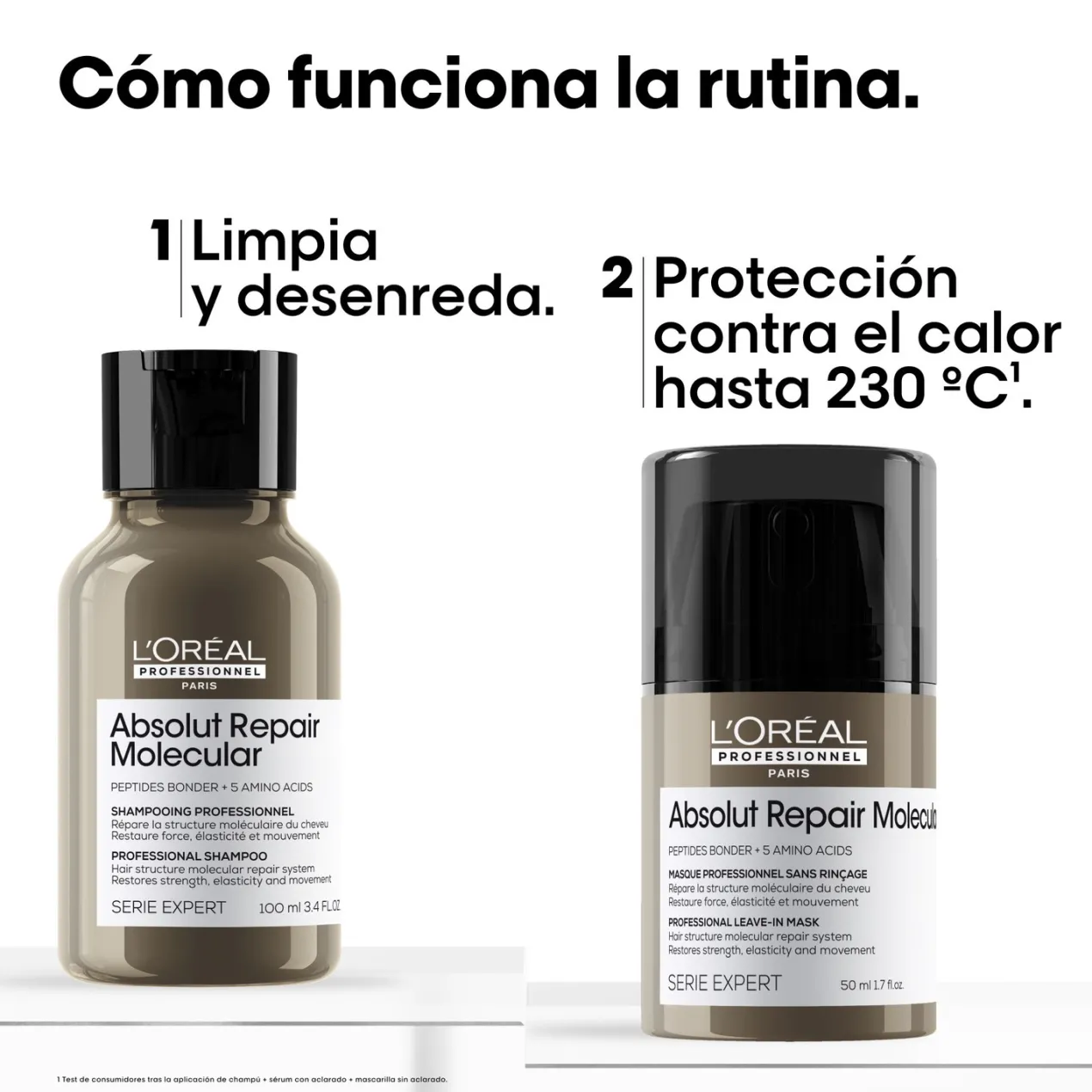 Set 2 Minis Absolut Repair Molecular Champu+Mascarilla