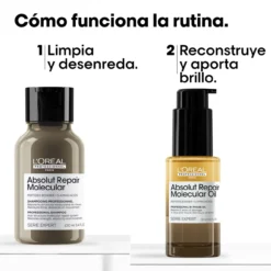 Set 2 Minis Absolut Repair Molecular Champu+Aceite Bifásico