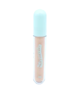 Skin Concealer