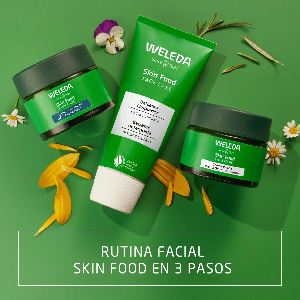 Skin Food Crema de Dia