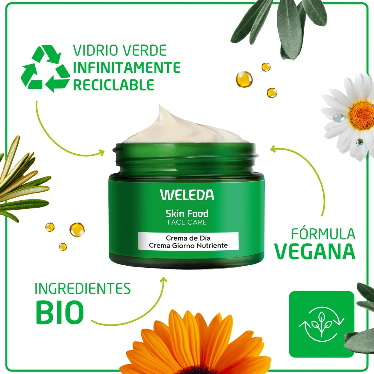 Skin Food Crema de Dia