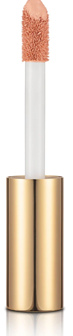 Stay Perfect Corrector