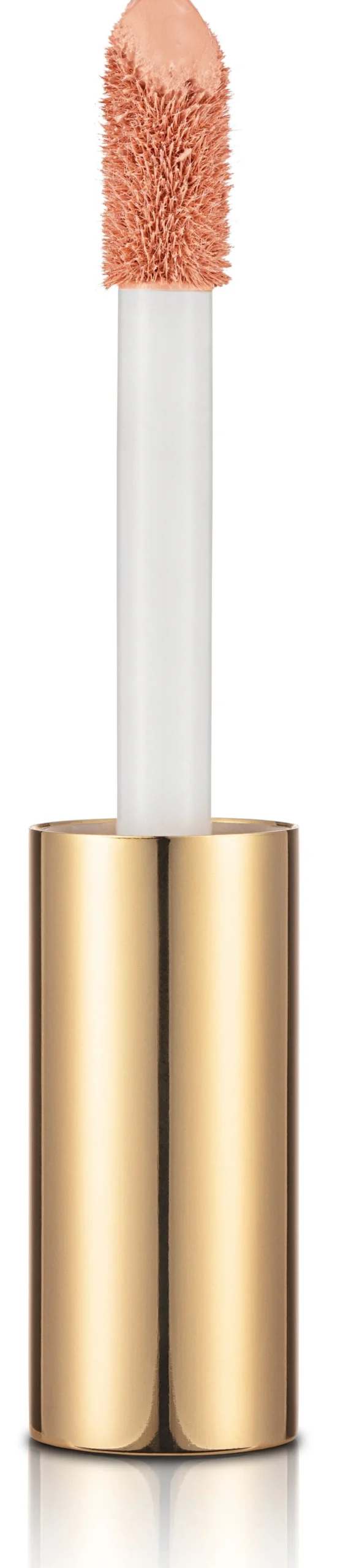 Stay Perfect Corrector