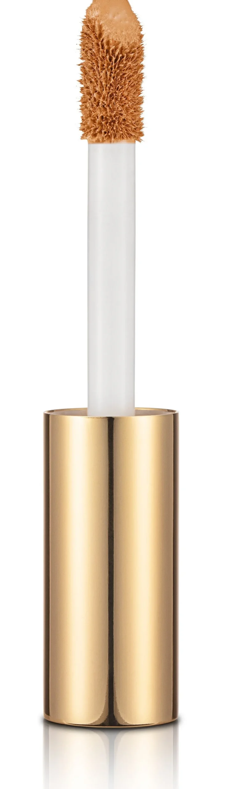 Stay Perfect Corrector