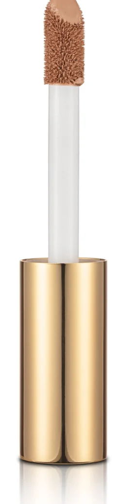 Stay Perfect Corrector