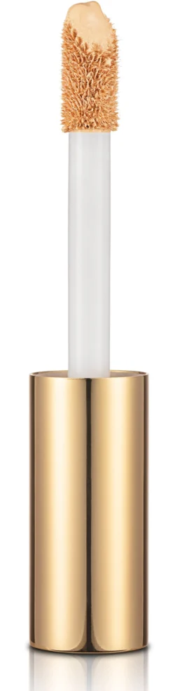 Stay Perfect Corrector